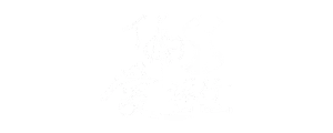 墨宇網頁設計_新南向_logo